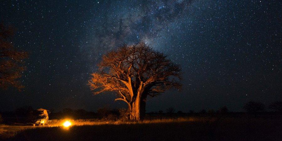 La notte stellata sull’Okavango